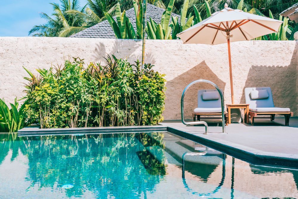 Tropical Surroundings